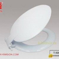 T-509 Plastic Toilet Seat and Cover (BS Standard)