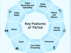 What Is TikTok? – Everything You Need to Know in 2024
