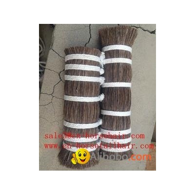 horse mane and horsetail hairpicture1