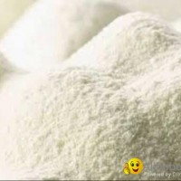Camel Milk Powder