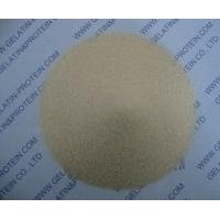 Pharmaceutical Gelatin