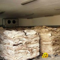 Donkey Skins Hides and Wet Salted Cow Hide