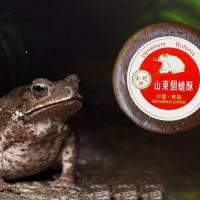Toad Venom (Venenum Bufonis)