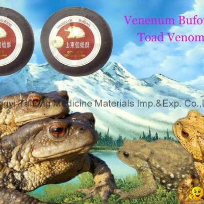 toad venompicture1