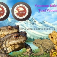 toad venom