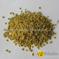 Rape Bee Pollen Granule