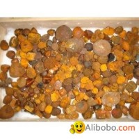 CATTLE OX GALLSTONE