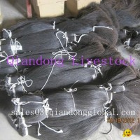 Black Horsetail Hair