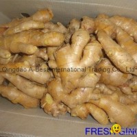 Semi-Air dried fresh ginger