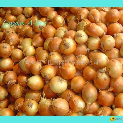 FRESH YELLOW ONIONpicture1
