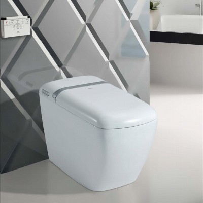 One piece Intelligent Smart Toilet with warm seat auto open and closepicture1