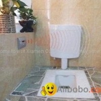 Wireless automatic toilet flusher