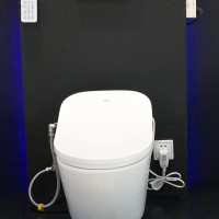 SAT530 Suspended smart toilet bidet wall hung wall drainage