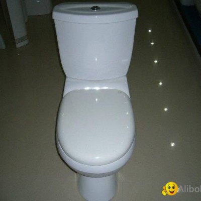TWO PIECE TOILETpicture1