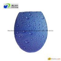 Water spray toilet seat with soft close hinges