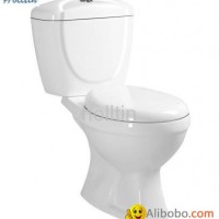 HT212 bathroom washdown two piece toilet