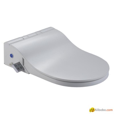 Smart Bidet Toilet Seatpicture1