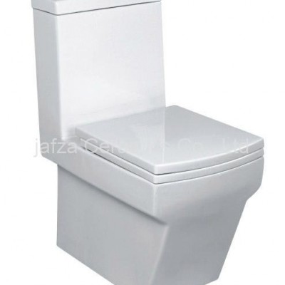 washdown one piece toiletpicture1