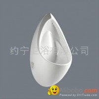 Wall Hung Urinal