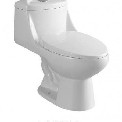 Bonny One-piece Toilet LO2204picture1