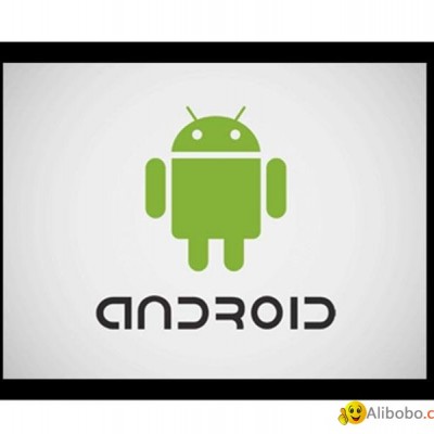1024xRGBx768, 16.7M Colors, Android LCMpicture1