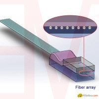 Polarization maintaining PM fiber array