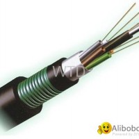 Fiber optic cable