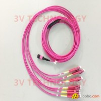12cores MPO Patch Cord with LC connector