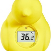 BT07D  Bath and Room thermometer