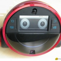 Intelligent Playmate Network Robot