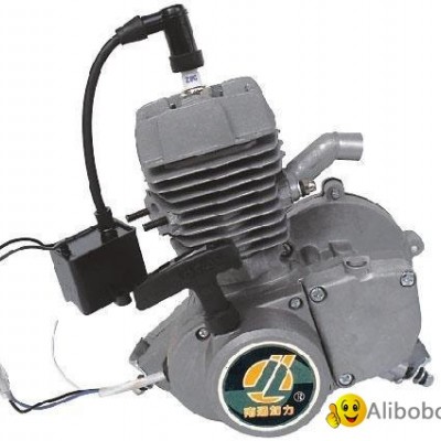 gasoline enginepicture1