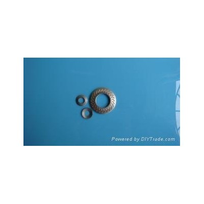 NFE25511 French Standard Washerpicture1
