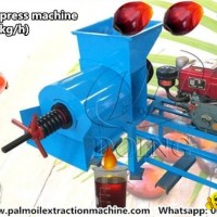 300-500kg/h small scale palm oil press machine for sale