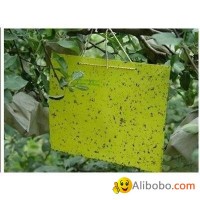 Thrips Whitefly Glue Paper Stick Insect Yellow BLUE Board/sticky Paper