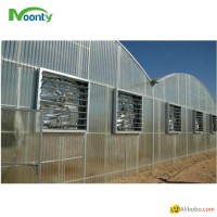 Polycarbonate（PC） Covering Multi span greenhouse