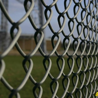 chain link fencepicture1