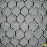 202 s.s hexagonal wire mesh