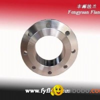 Stainless Steel Flange