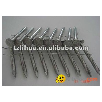 Stainless Steel Coil Nailpicture1