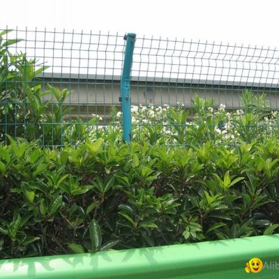 garden fencepicture1