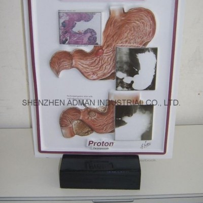 3D EMBOSSED  MEDICAL/PHARMA WOOD STANDpicture1