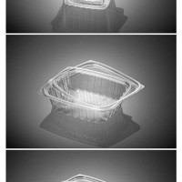 Salad Container + Lid;Clear
