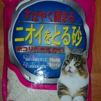 Percy Cat Litter(bar shape)