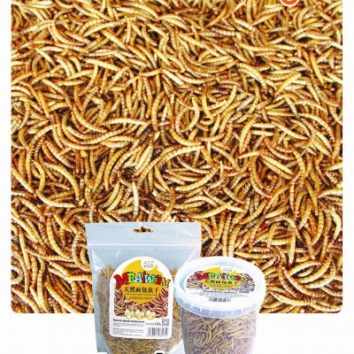 Dried Mealwormspicture1