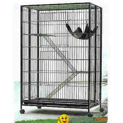 Big Cat Cagepicture1