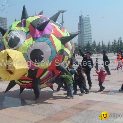 3223 Spiky ballpicture1
