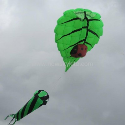 3182 Leaf kitepicture1