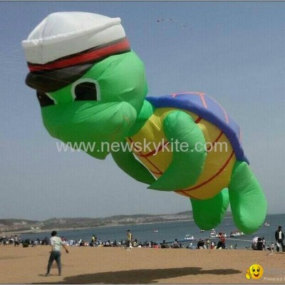 3253 Cap turtlepicture1