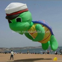 3253 Cap turtle