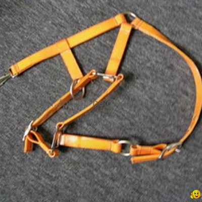 horse bridle -TPU horse bridlepicture1
